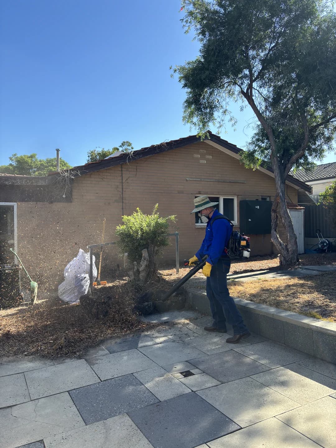 Sandstone pavers cleaned and restored, highlighting natural color variation