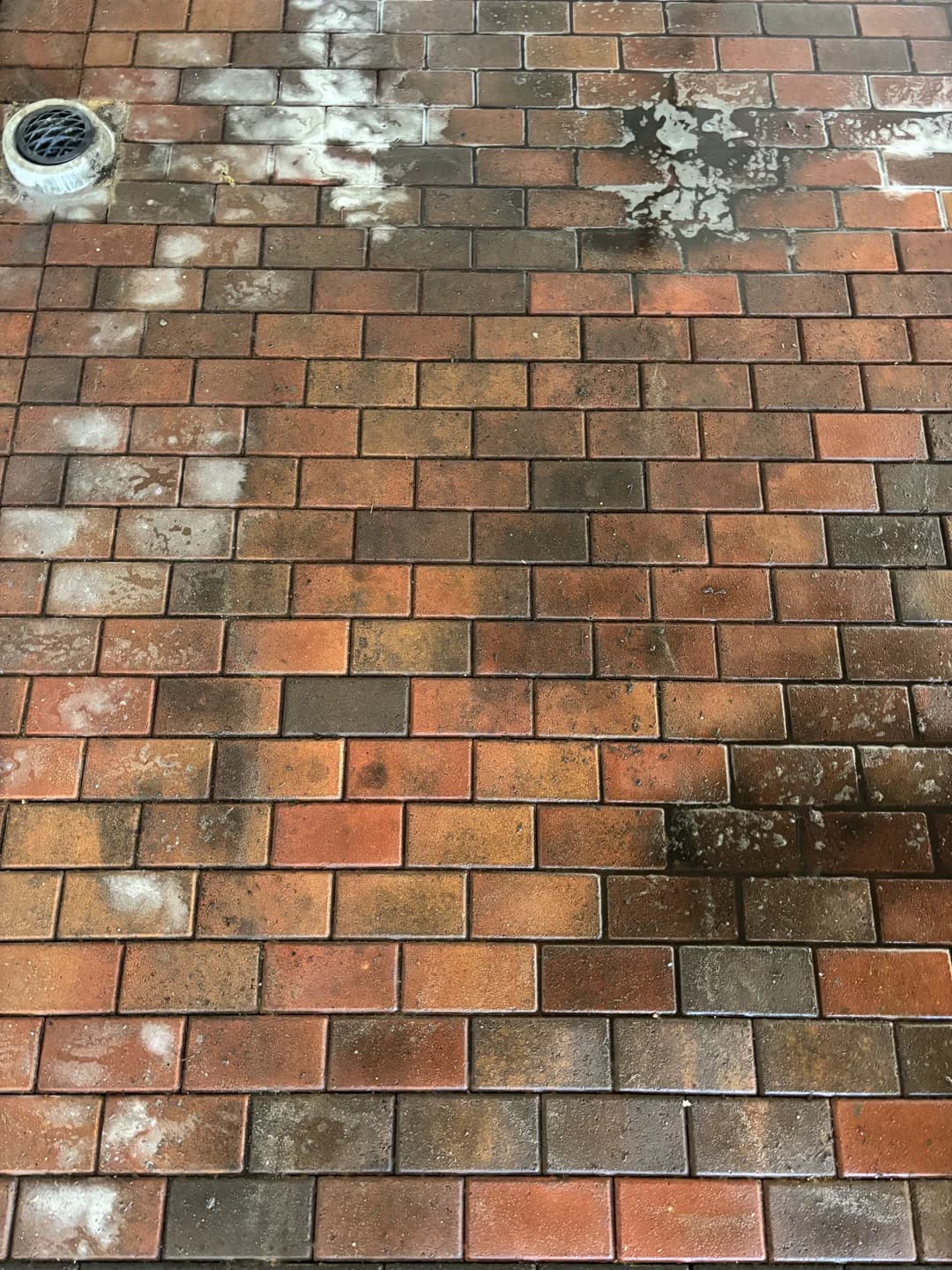 Wooden fence panels pressure washed, natural timber grain visible again