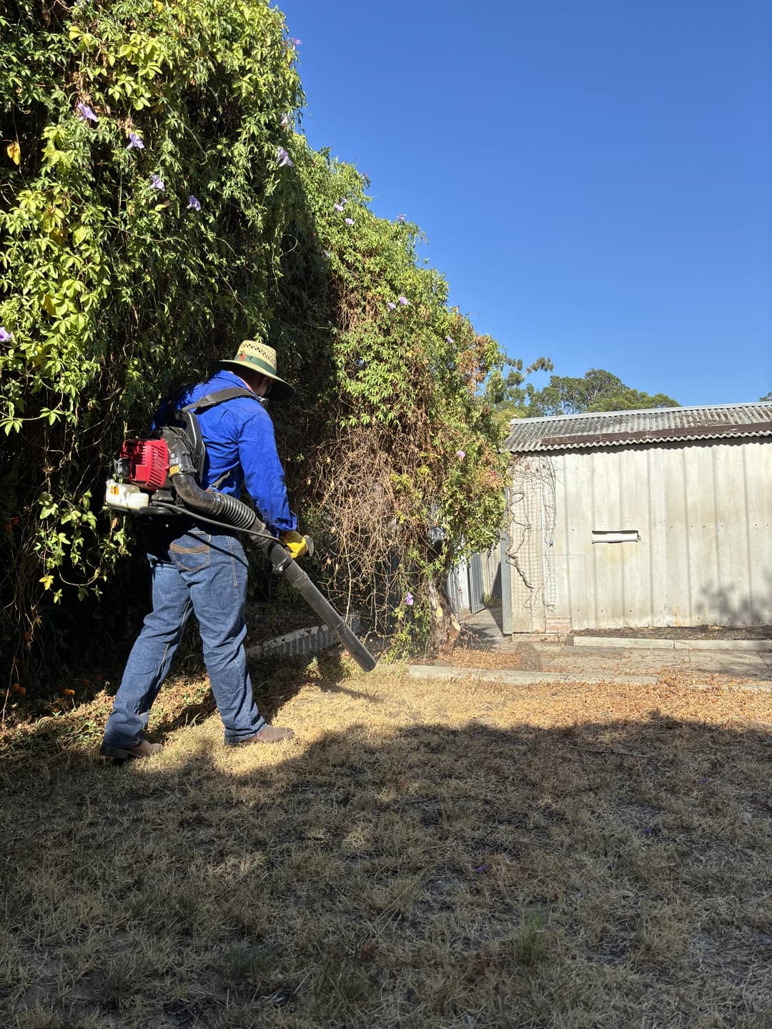 Timber deck boards restored from weathered grey to natural wood tone