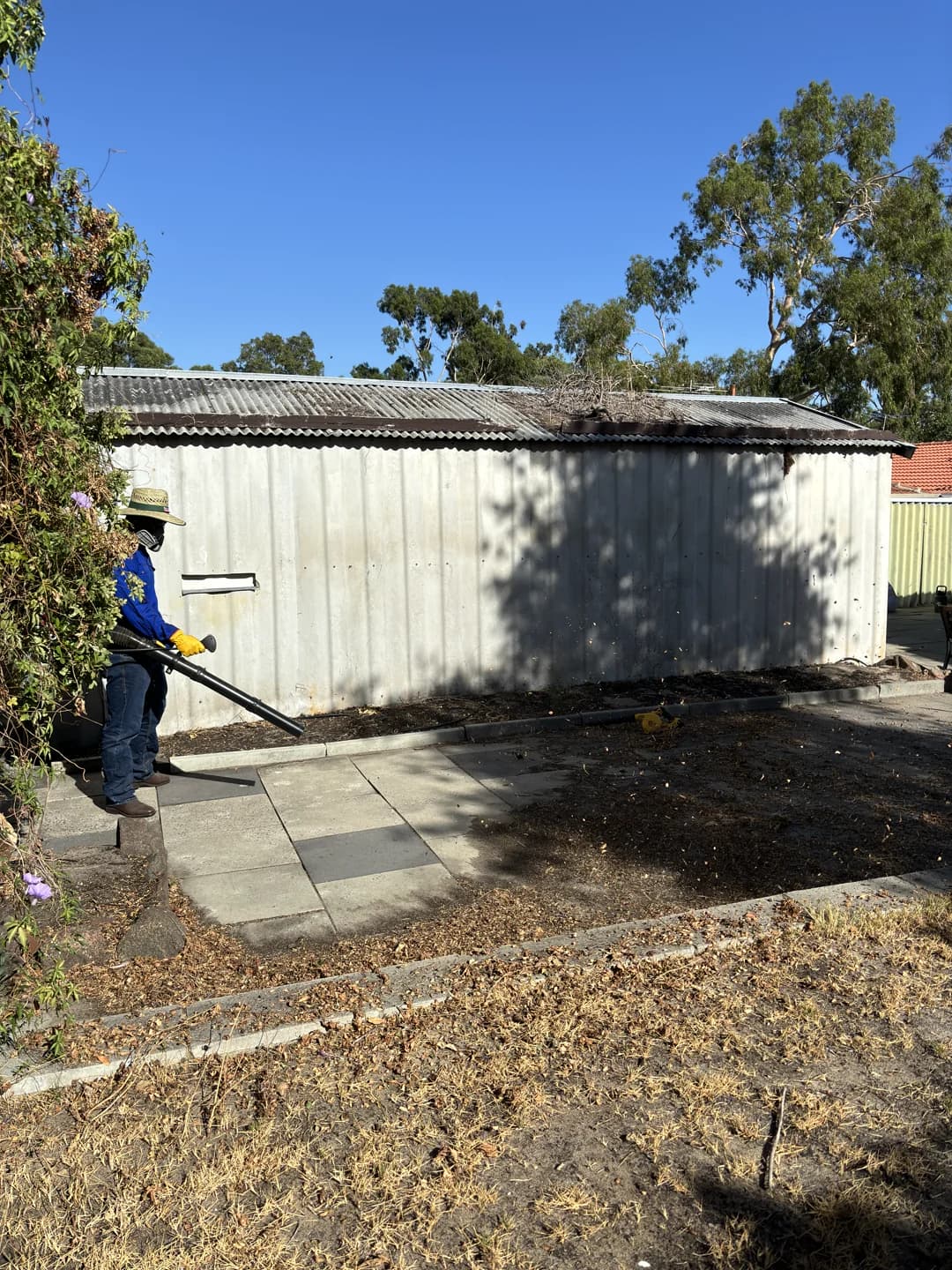 Limestone retaining wall cleaned, removing green algae and black mold