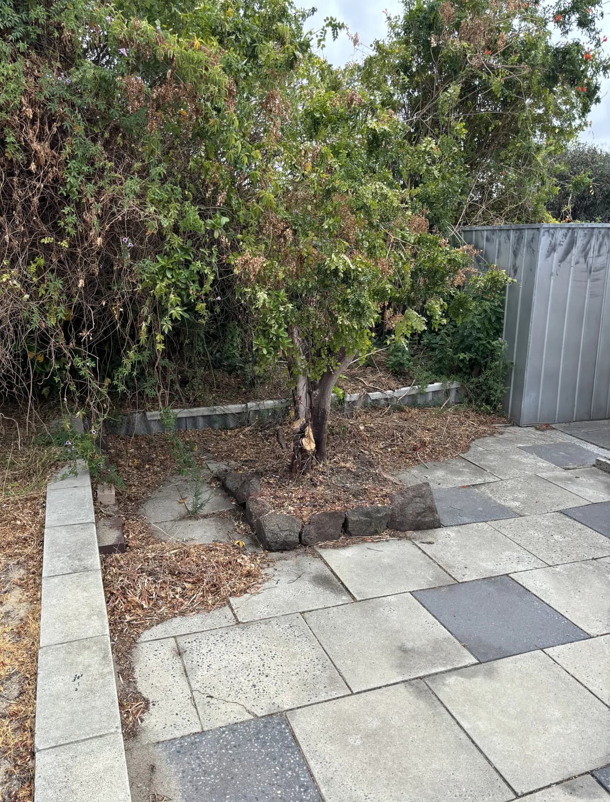 Refresh Residential - Before cleaning